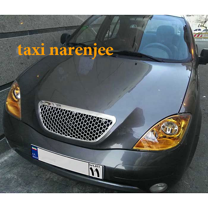 جلو پنجره تیبا و تیبا 2 طرح زنبوری (استیل) - Image 2