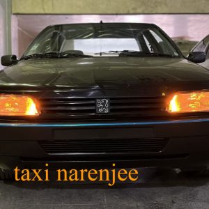 جلو پنجره 405 مدل 2000 (رنگبندی)