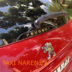 ورد پلیت شیشه عقب پژو 206 و 207